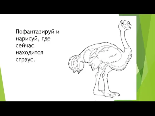 Пофантазируй и нарисуй, где сейчас находится страус.