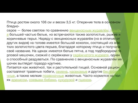 Птица ростом около 106 см и весом 3,5 кг. Оперение