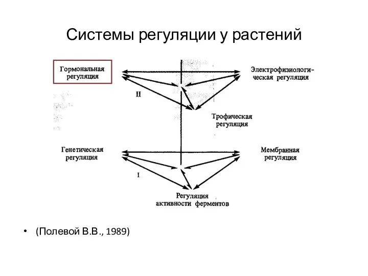 Системы регуляции у растений (Полевой В.В., 1989)