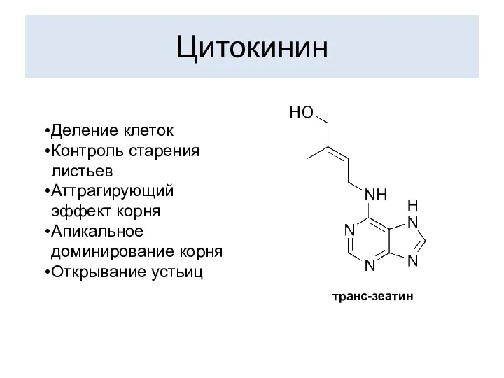 Цитокинин