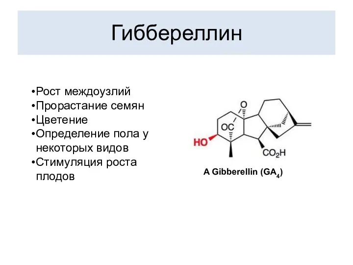 Гиббереллин