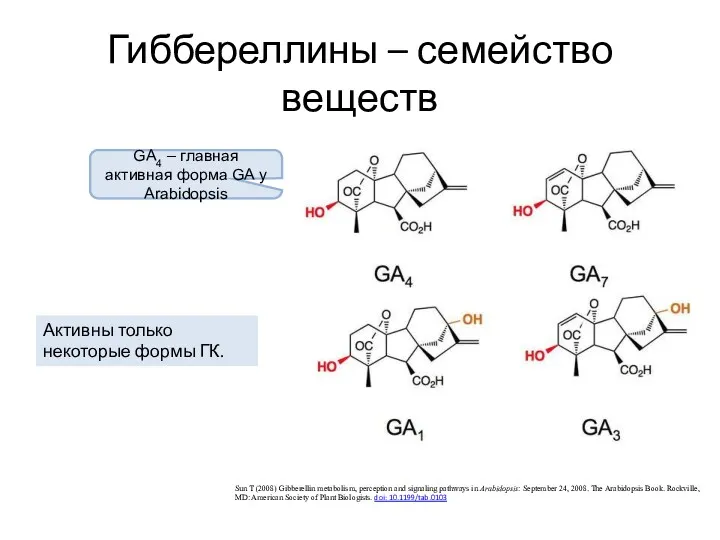 Гиббереллины – семейство веществ Sun T (2008) Gibberellin metabolism, perception