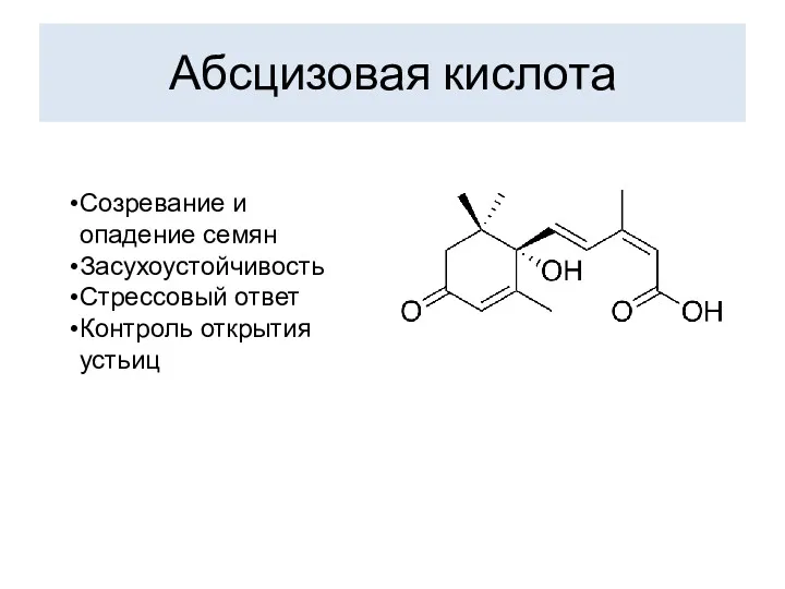 Абсцизовая кислота Созревание и опадение семян Засухоустойчивость Стрессовый ответ Контроль открытия устьиц