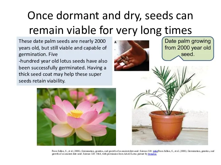 Once dormant and dry, seeds can remain viable for very