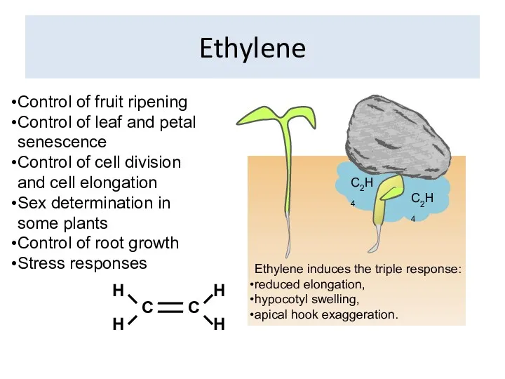 Ethylene