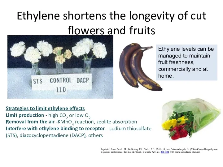 Ethylene shortens the longevity of cut flowers and fruits Reprinted