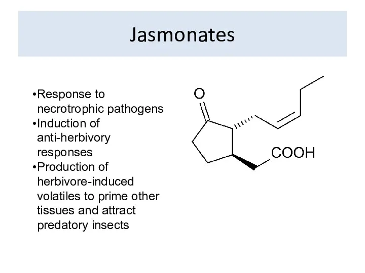 Jasmonates Response to necrotrophic pathogens Induction of anti-herbivory responses Production