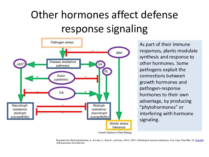 Other hormones affect defense response signaling Reprinted from Robert-Seilaniantz, A.,