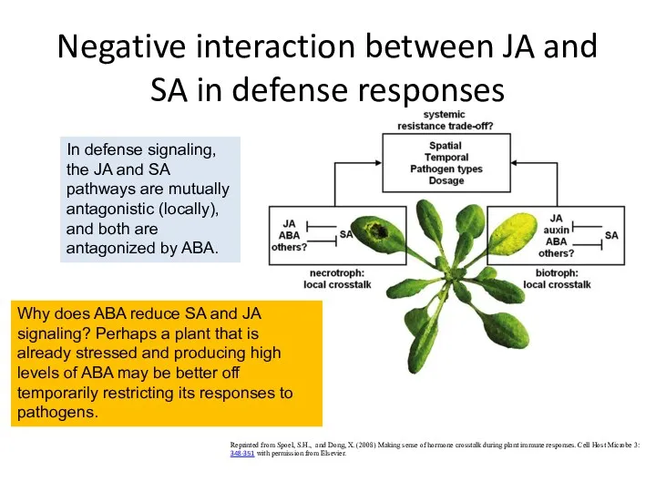 Negative interaction between JA and SA in defense responses Reprinted