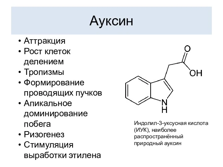 Ауксин Индолил-3-уксусная кислота (ИУК), наиболее распространённый природный ауксин Аттракция Рост