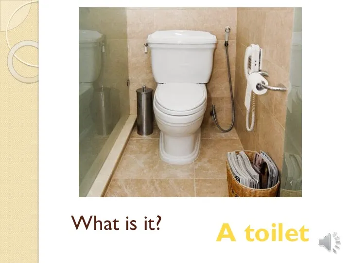 What is it? A toilet