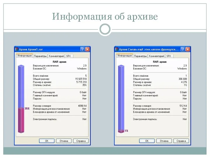 Информация об архиве