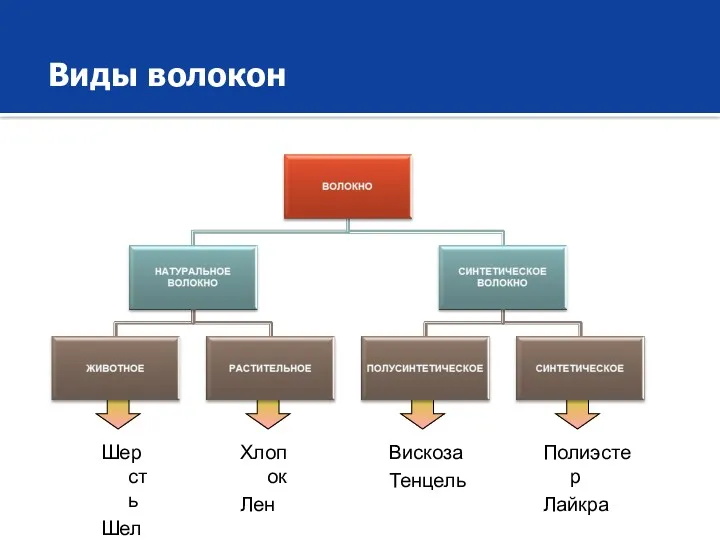 Виды волокон Шерсть Шелк Хлопок Лен Вискоза Тенцель Полиэстер Лайкра