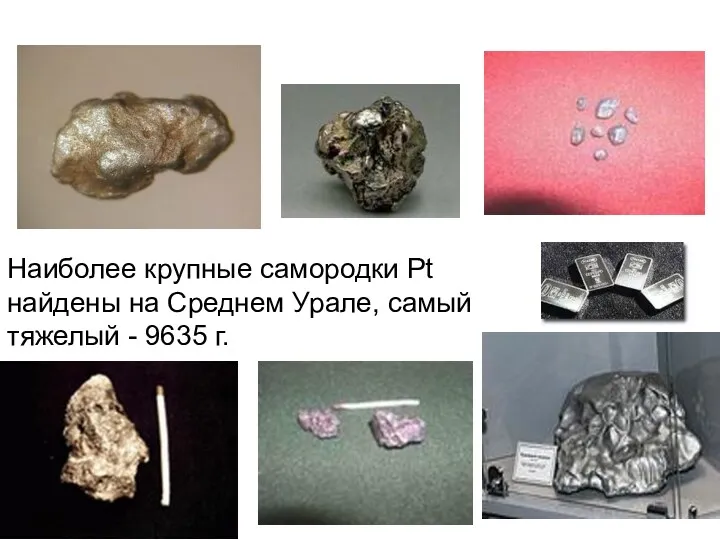 Наиболее крупные самородки Pt найдены на Среднем Урале, самый тяжелый - 9635 г.