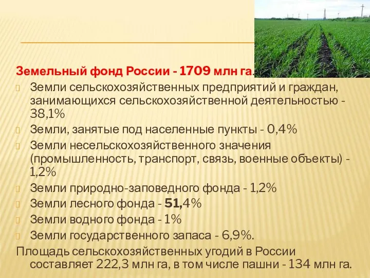 Земельный фонд России - 1709 млн га. Земли сельскохозяйственных предприятий