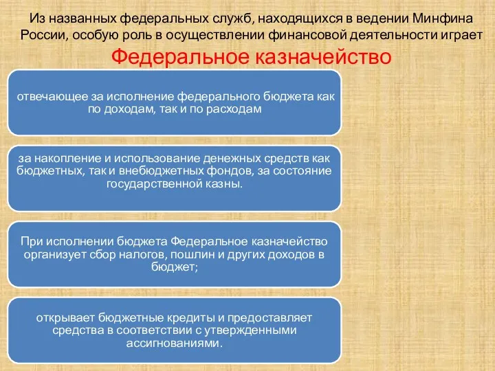 Из названных федеральных служб, находящихся в ведении Минфина России, особую