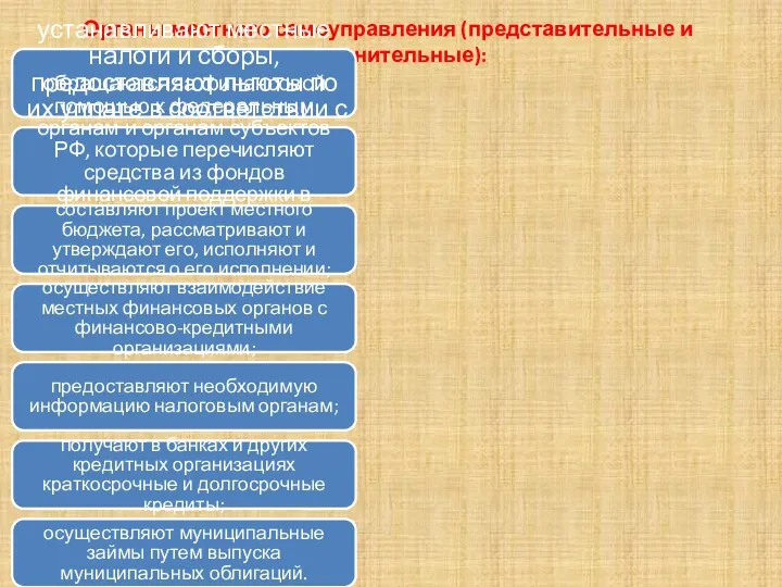 Органы местного самоуправления (представительные и исполнительные): устанавливают местные налоги и