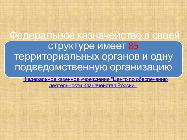 Федеральное казначейство в своей структуре имеет 85 территориальных органов и