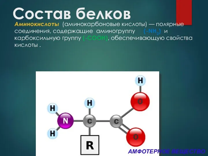 Состав белков Аминокислоты (аминокарбоновые кислоты) — полярные соединения, содержащие аминогруппу