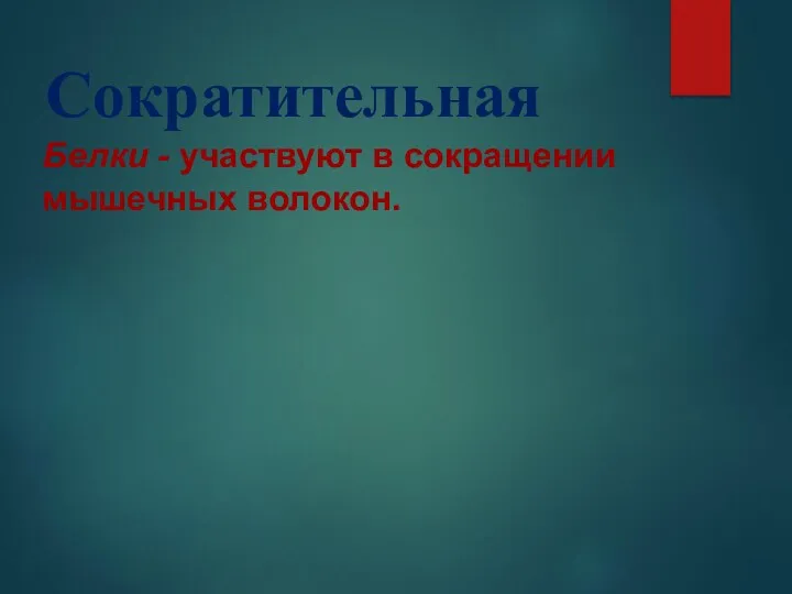 Сократительная Белки - участвуют в сокращении мышечных волокон.