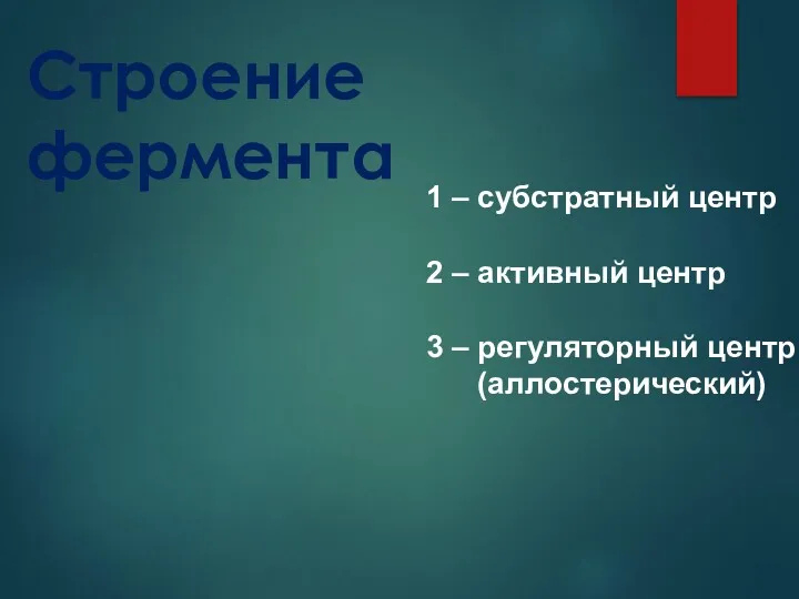 Строение фермента 1 – субстратный центр 2 – активный центр 3 – регуляторный центр (аллостерический)