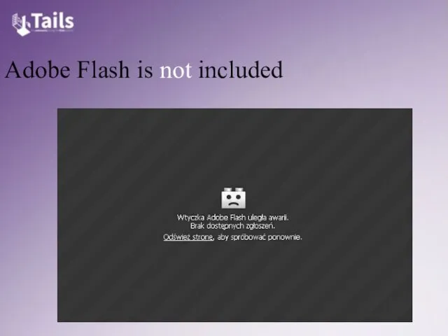 Adobe Flash is not included