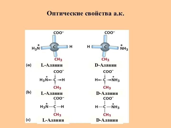 Оптические свойства а.к. L-Аланин L-Аланин L-Аланин D-Аланин D-Аланин D-Аланин