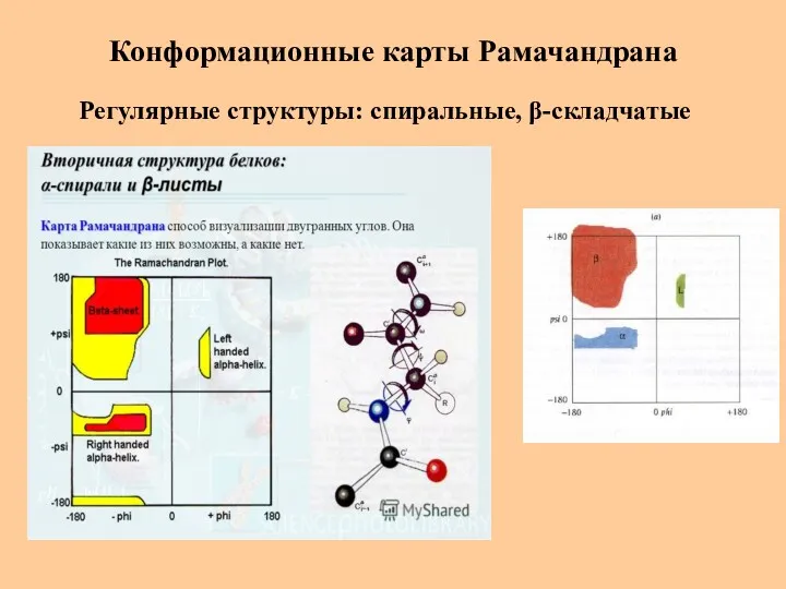 Конформационные карты Рамачандрана Регулярные структуры: спиральные, β-складчатые