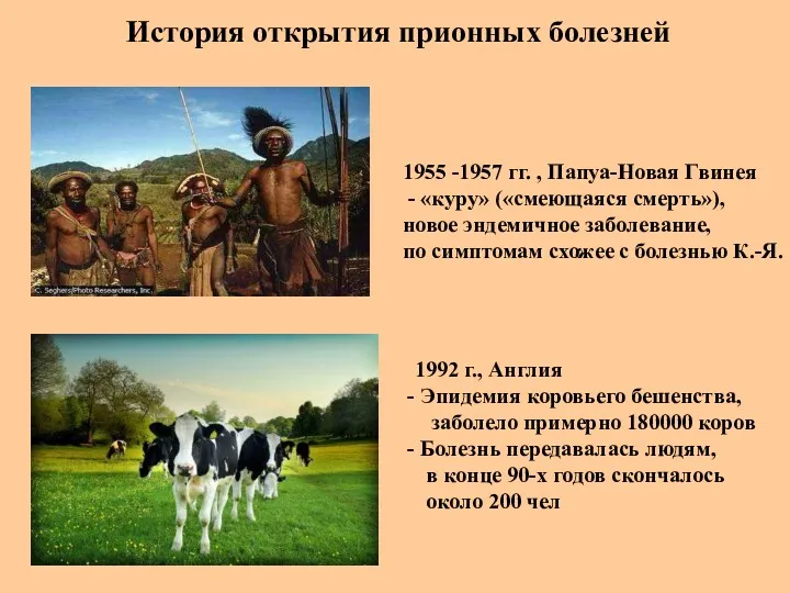 История открытия прионных болезней 1955 -1957 гг. , Папуа-Новая Гвинея