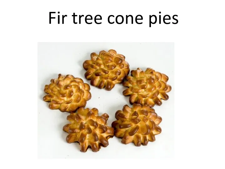 Fir tree cone pies