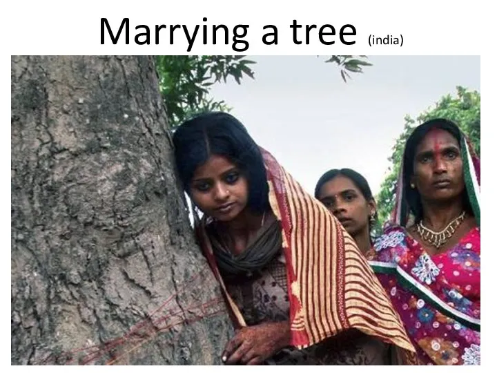 Marrying a tree (india)