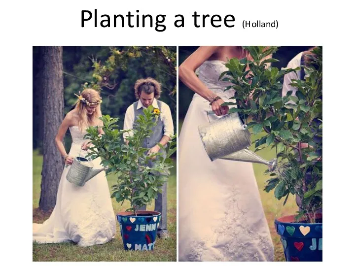 Planting a tree (Holland)