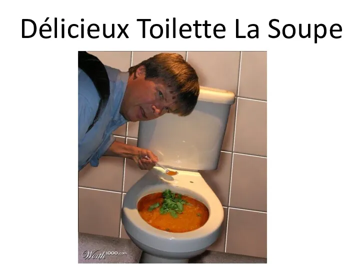 Délicieux Toilette La Soupe