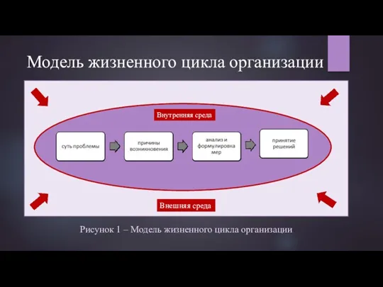 Модель жизненного цикла организации Внешняя среда Внутренняя среда Рисунок 1 – Модель жизненного цикла организации