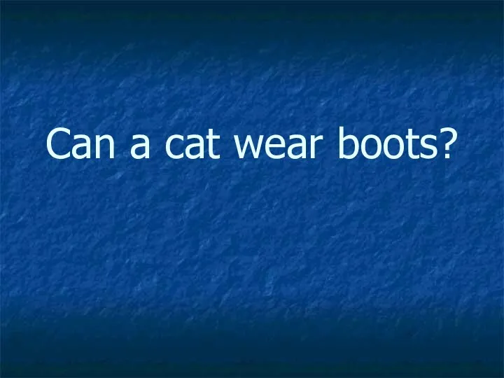 Can a cat wear boots?