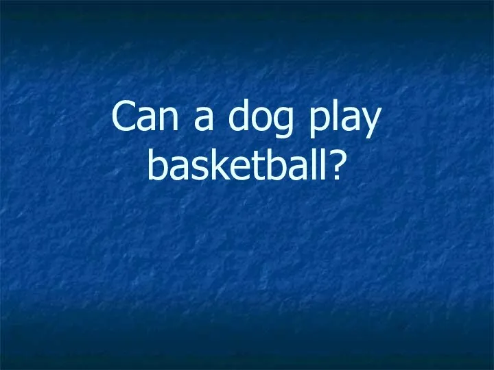 Can a dog play basketball?