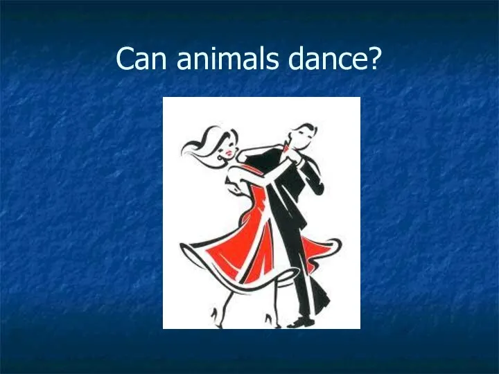 Can animals dance?