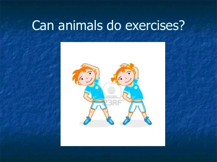 Can animals do exercises?