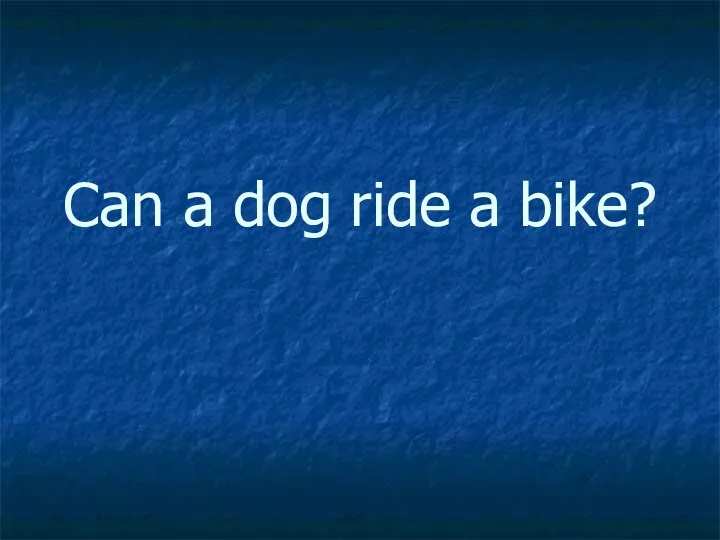 Can a dog ride a bike?