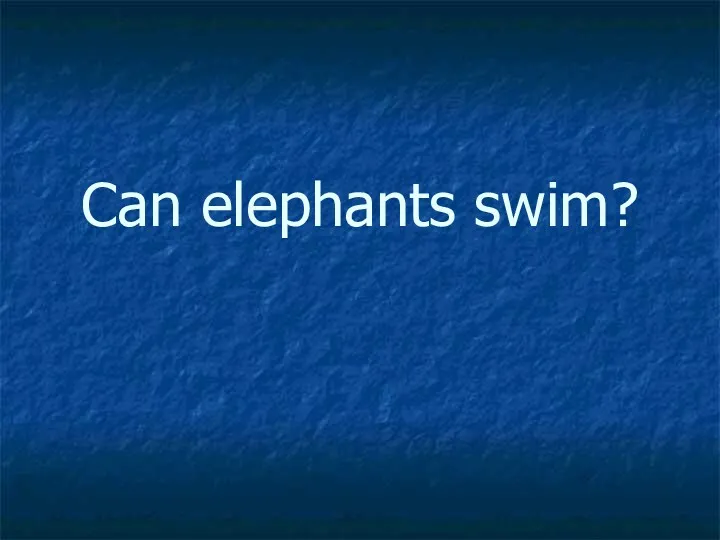 Can elephants swim?