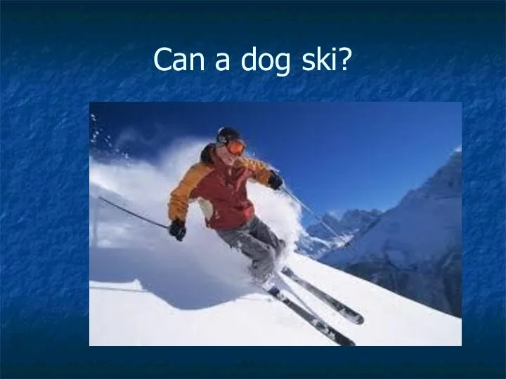 Can a dog ski?