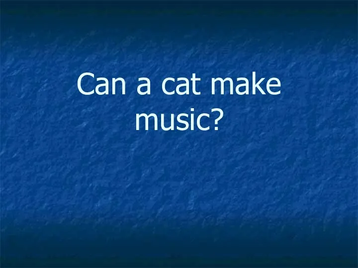 Can a cat make music?