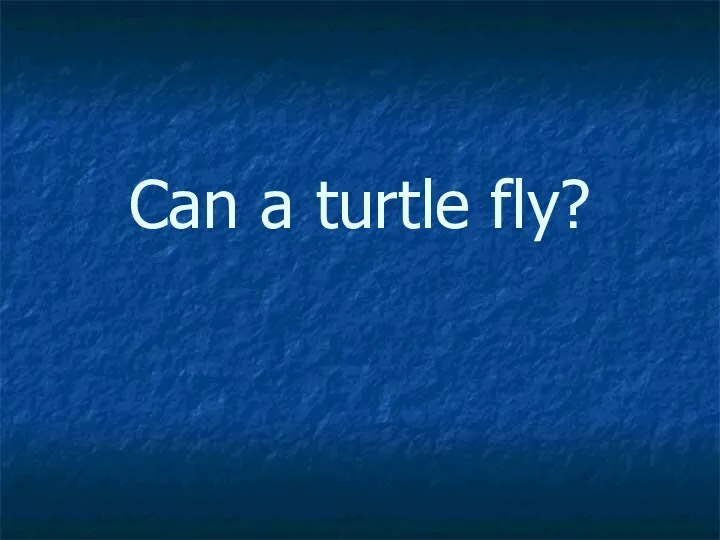 Can a turtle fly?