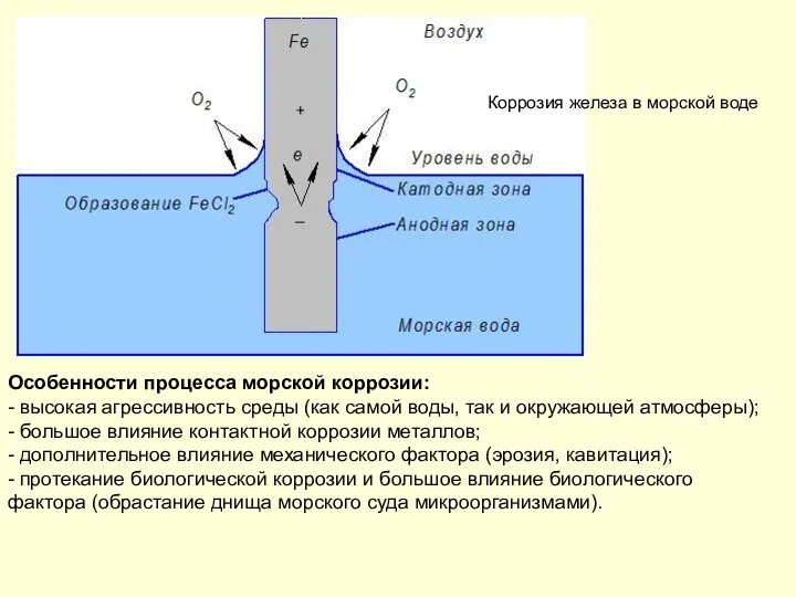 Коррозия железа в морской воде Особенности процесса морской коррозии: -