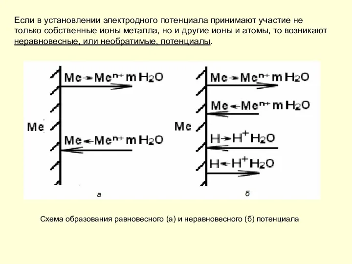 Если в установлении электродного потенциала принимают участие не только собственные