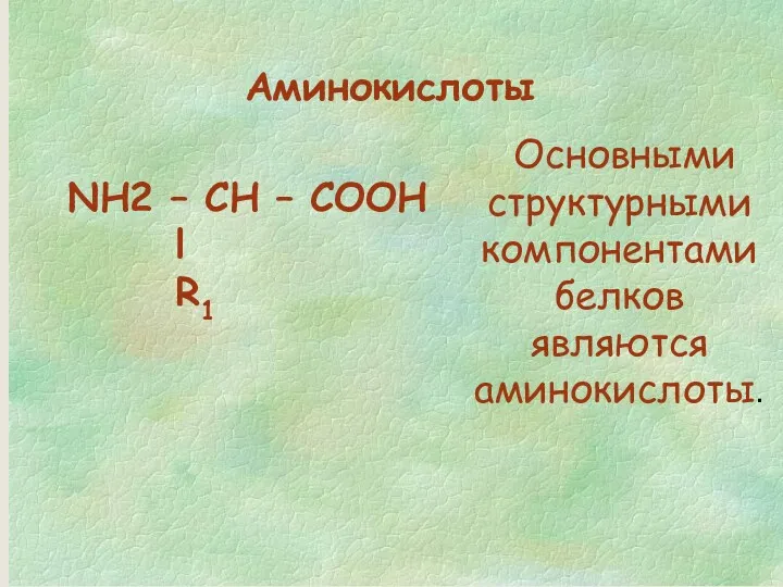 Основными структурными компонентами белков являются аминокислоты. NH2 – CH – CОOН l R1 Аминокислоты