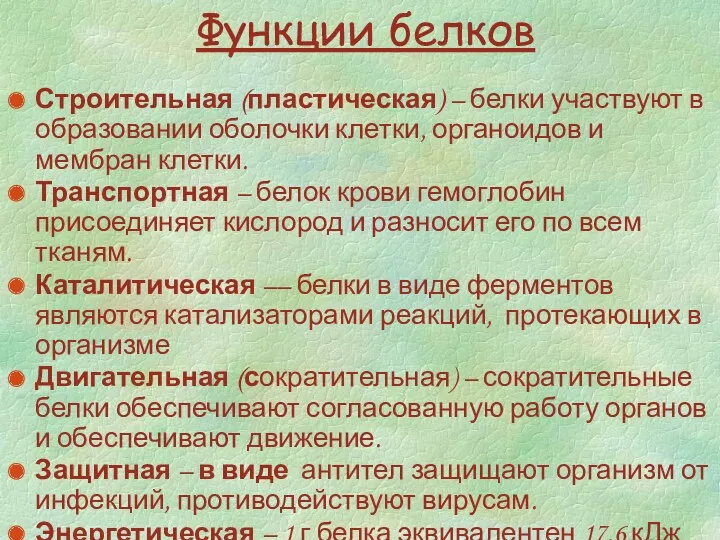 Функции белков Строительная (пластическая) – белки участвуют в образовании оболочки