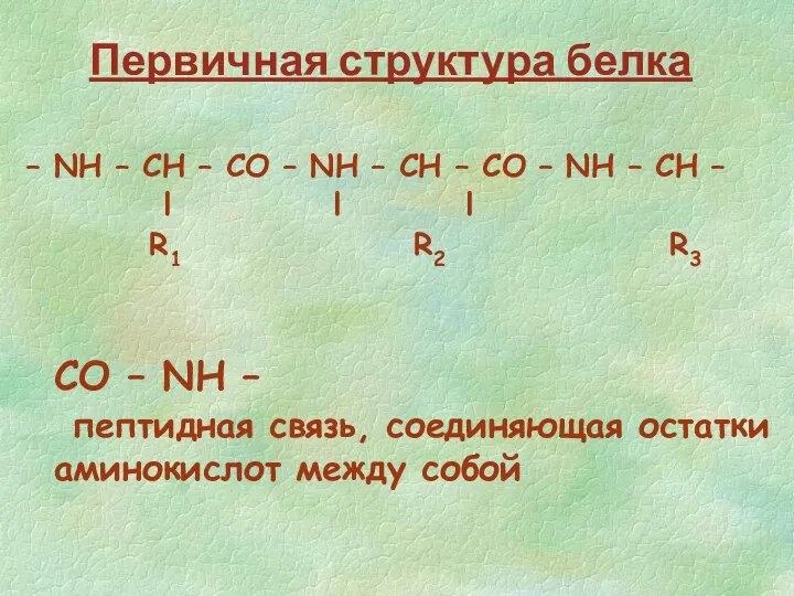 – NH – CH – CO – NH – CH