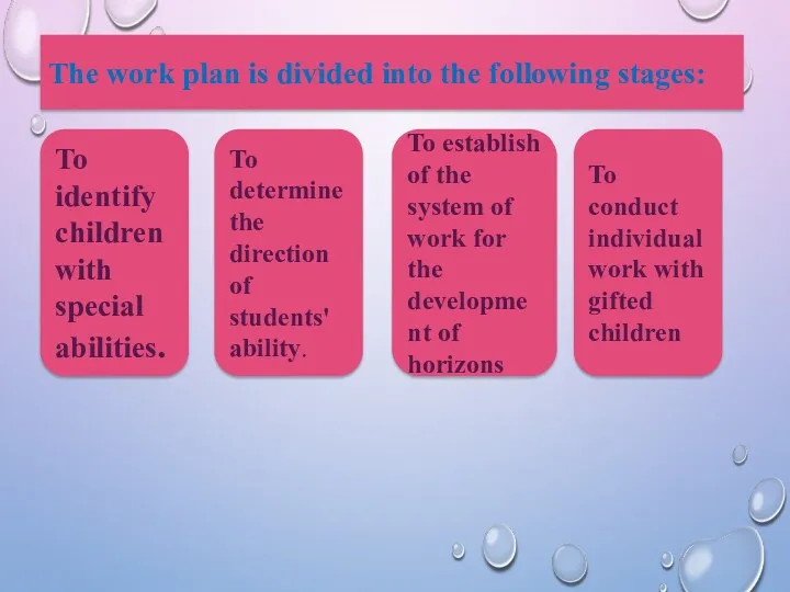 The work plan is divided into the following stages: To