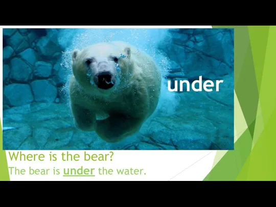 Where is the bear? under The bear is under the water.